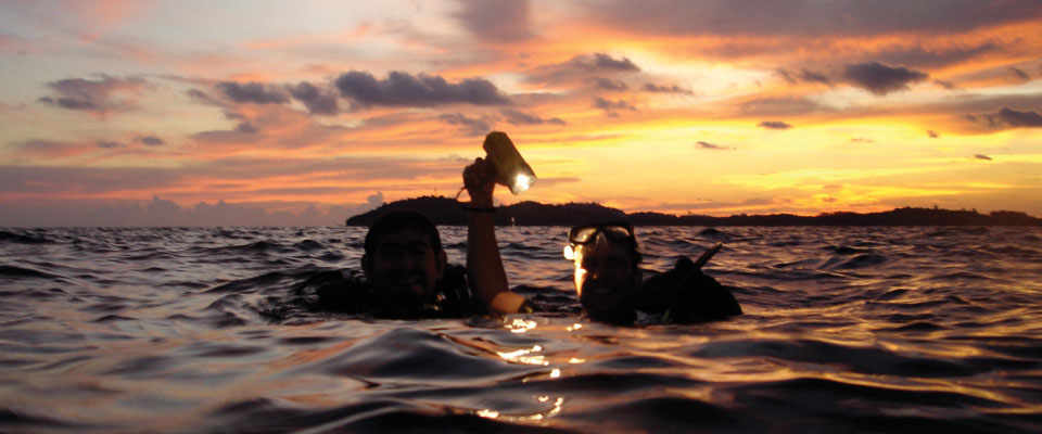 Night Scuba Dive with Castaway Divers on Koh Lipe