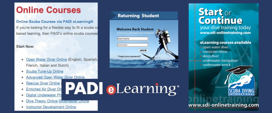 Online Diving Training