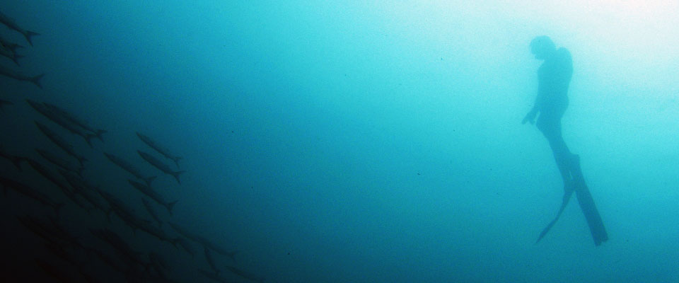 Recreational_Freediving_Koh_Lipe_Thailand