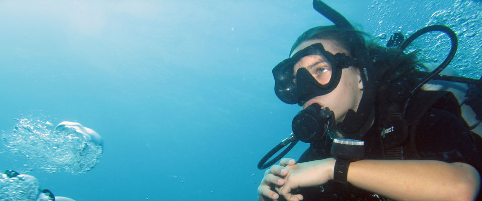 SDI courses Koh Lipe